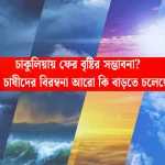 Chakulia weather April: চাকুলিয়ায় ফের বৃষ্টির সম্ভাবনা? ভুট্টা চাষীদের বিরম্বনা আরো কি বাড়তে চলেছে?