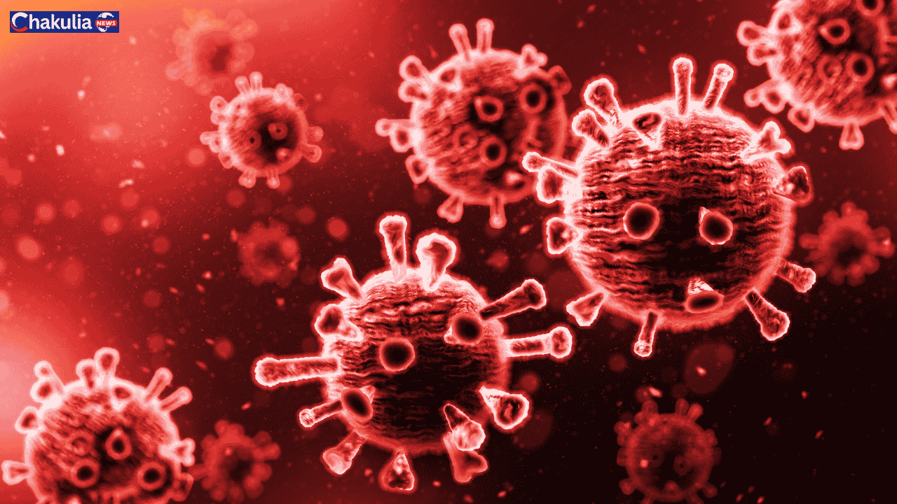 Hanta virus : বিশ্বজুড়ে ফের হ্যান্টা ভাইরাসের আক্রমণ, বিস্তারিত জানুন।