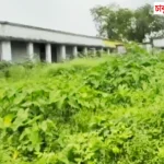 Kanki News: নেশার গ্রাসে কানকি বেসিক স্কুল! ঝোপঝাড়ে ভরে উঠছে ক্যাম্পাস, বাড়ছে অসামাজিক কার্যকলাপের অভিযোগ!